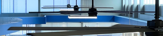 Ceiling Fan Recommendation