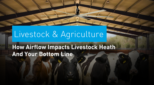 How Airflow Impacts Livestock Health and Your Bottom Line